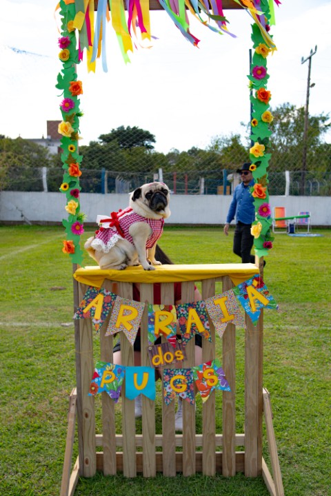 Foto do Pugnic 2026
